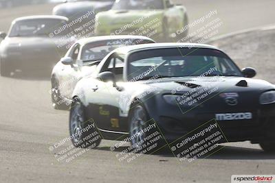 media/Feb-22-2025-CalClub SCCA (Sat) [[57201885c5]]/Group Five/Group 5b/